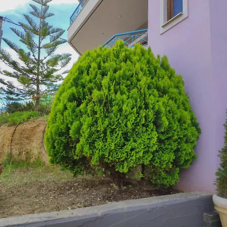 Colourful Lägenhet *